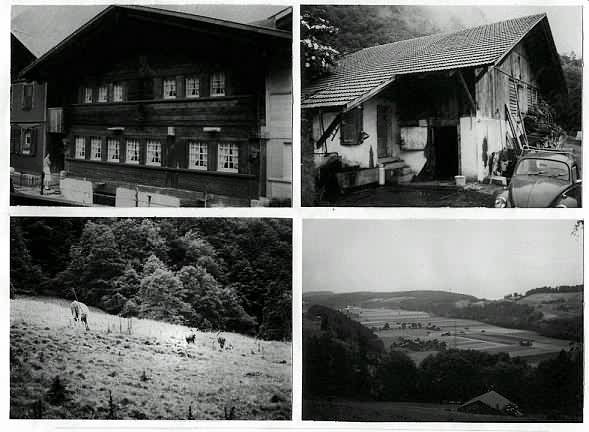 In and Around Wimmis